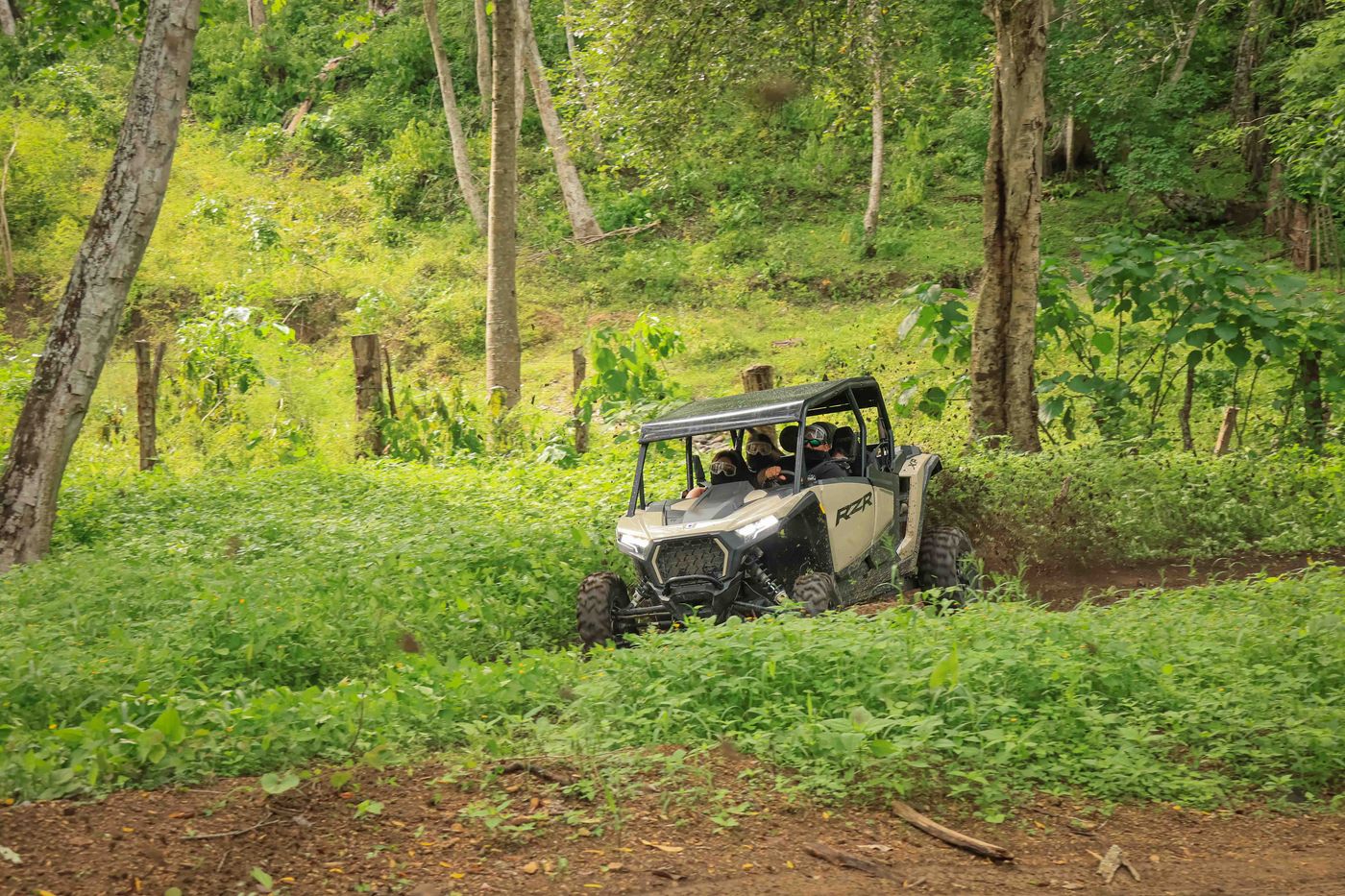 RZR exploring a hidden trail through the vegetation of Nayarit