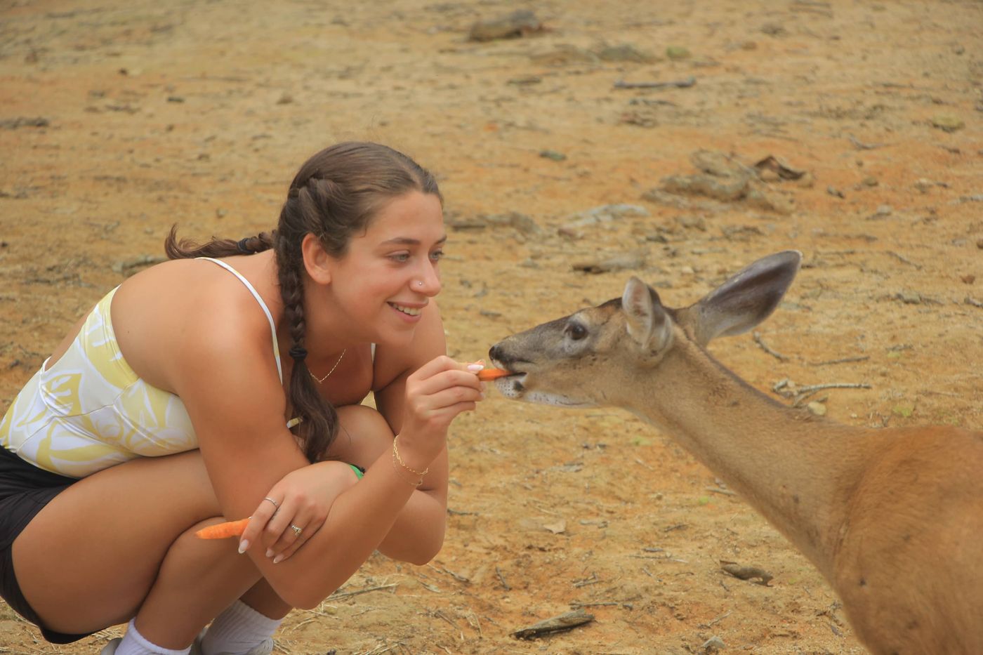 Mujer interactuando con venado