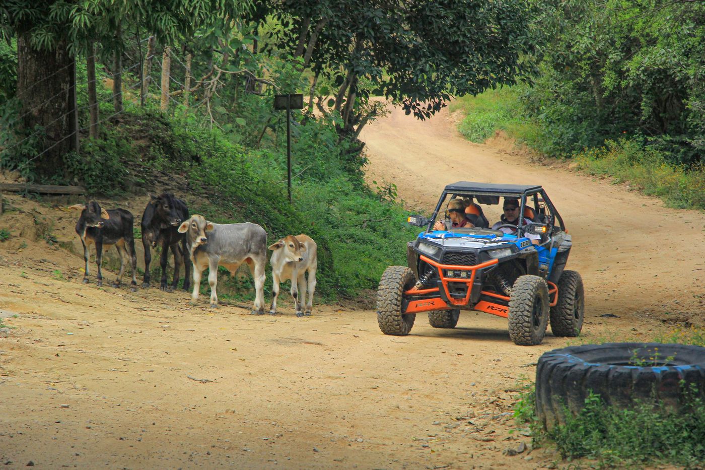 Eco-adventure experience in Puerto Vallarta.